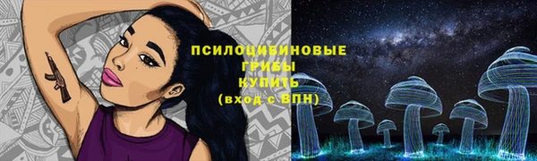 а пвп мука Аркадак