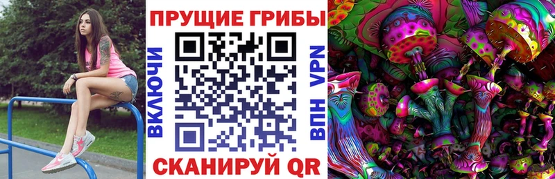 Псилоцибиновые грибы Psilocybine cubensis  darknet состав  Пушкино 